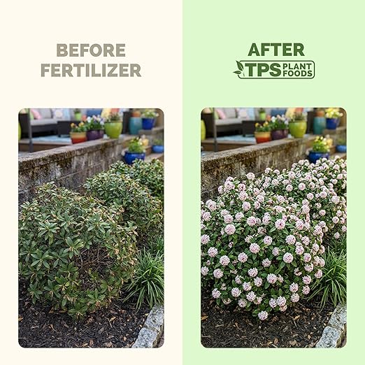 Flowering Plant Food – Liquid Plant Food for More Blooms, Vibrant Color & Stronger Bud Development, 8 oz