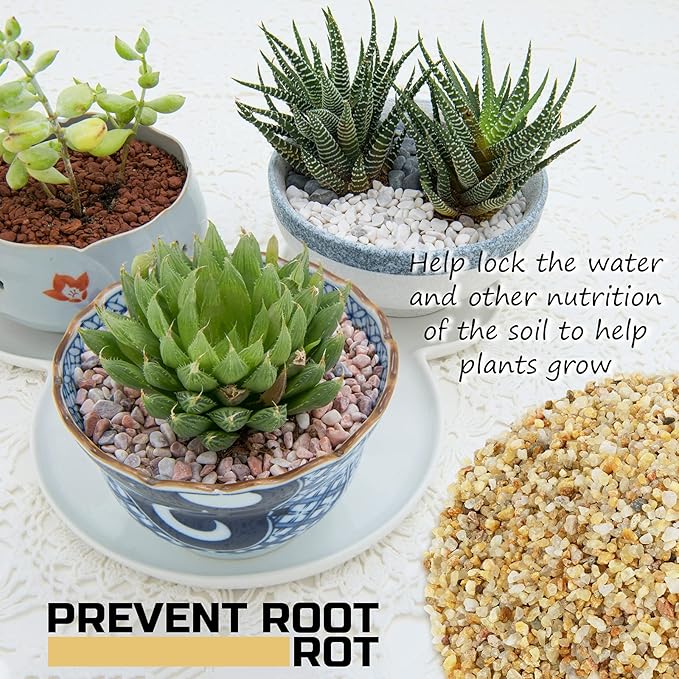 2LBS Horticultural Succulent Rocks Bonsai Mix Succulent Potting Mix Lava Rocks Cactus Soil Potting Mix Amendment