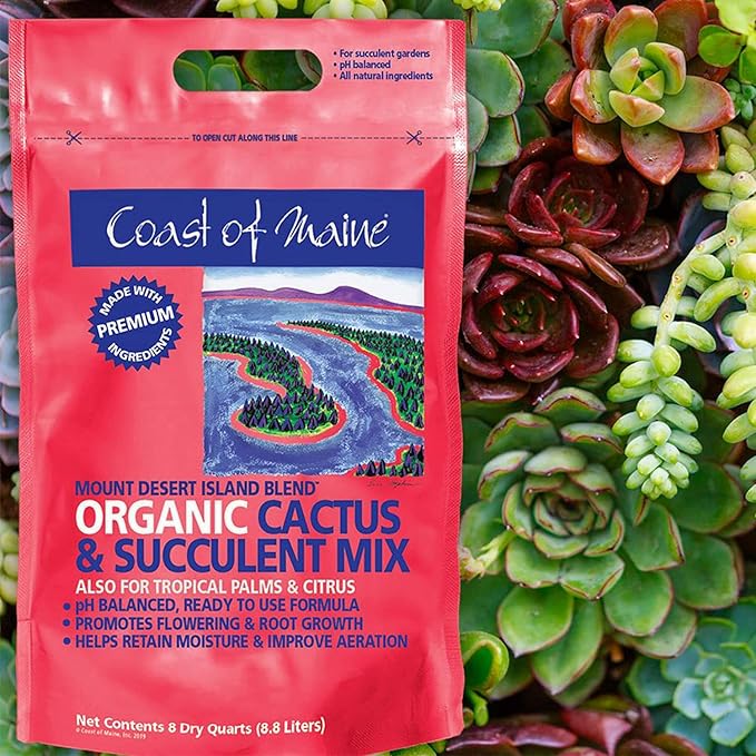 Coast of Maine Mount Desert Island Blend, 8qt (Pack of 2) Organic and Natural, Cactus and Succulent Mix - Tropical Palms and Citrus Plants
