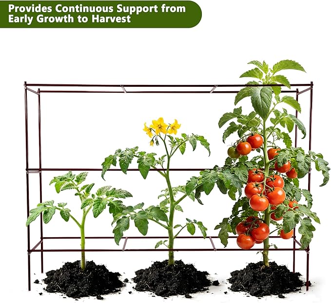 Tomato Cages – 47" H x 58" L x 14" W Row Tomato Trellis, 3-Tier Heavy-Duty Steel Support System for Indeterminate Tomatoes, Supports Up to 6 Plants Per Set