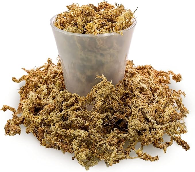 Premium New Zealand Sphagnum Moss by Gardenera - 10 Quart - Organic Hand Mixed Long Fibered Sphagnum Moss Orchid (2 Bags of 5 Quart)