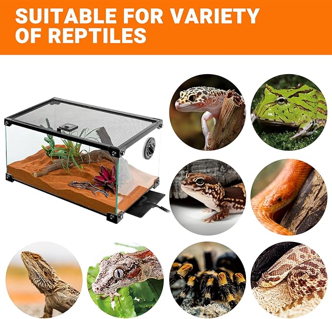 REPTI ZOO 6" X 8" Reptile Heat Pad Fast Heating Pad with Adjustable Thermostat 12W Reptile Heat Mat for Turtles/Hermit Crabs/Bearded Dragons/Leopard Geckos/Snakes/Lizards, and Seed Germination