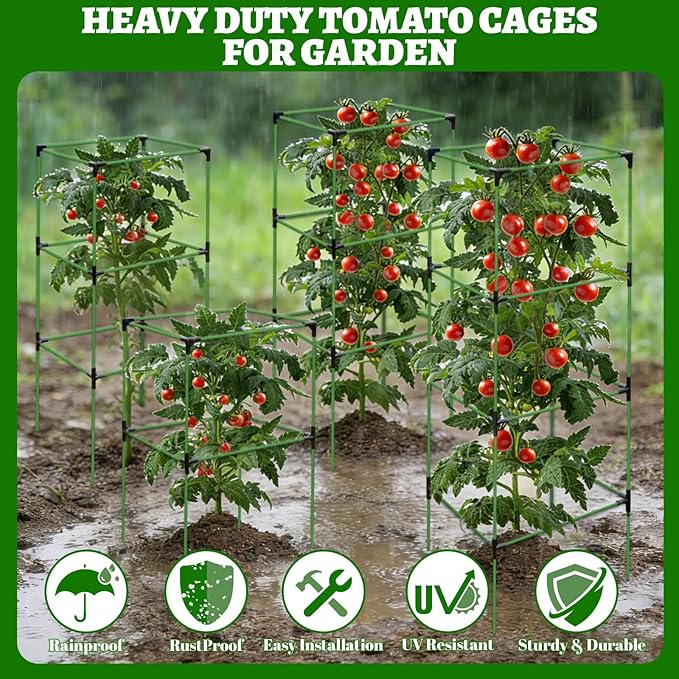2 Pack Tomato Cages for Garden,Square Tomato Plant Cage Support Heavy Duty Pole 57*15.4*15.4 Inches,Steel Plant Tower Stakes,Cherry Tomato Trellis Cucumber for Climbing Vegetables Flowers Fruits-Green