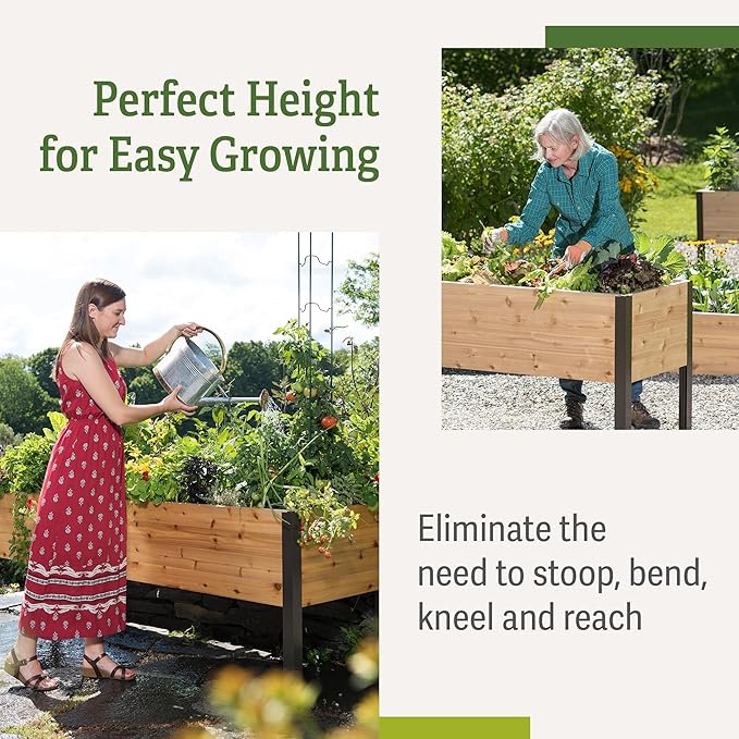 Gardener's Supply Company Elevated Cedar Raised Garden Bed | 2' x 8' Heavy Duty Standing Planter Box with Aluminum Corners for Outdoor Plants Vegetables Flowers | Perfect for Patio & Backyard