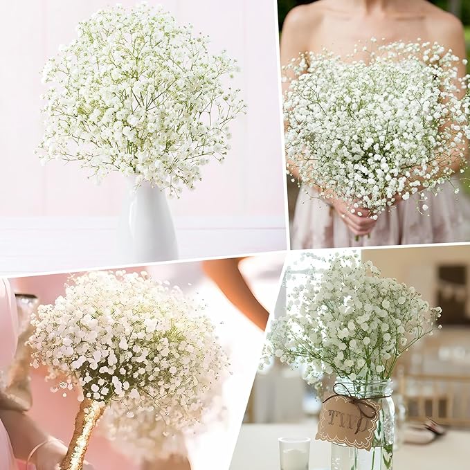 Baby's Breath Seeds, Large 1oz Pack, Little White Flowers Heirloom Seeds Open Pollinated Annual Flower, Non-GMO Grown in The USA