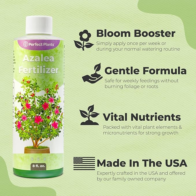 Liquid Azalea Fertilizer by Perfect Plants | Best Plant Food to Enhance Blooms, Brighten Colors, & Improve Soil Content for All Azaleas & Rhododendron | Instantly Release Nutrients to the Shrub