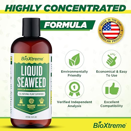 Liquid Seaweed Premium Concentrate – Undiluted Kelp Extract with No Fillers or Colorants – All Natural Fertilizer for Plant & Flower Growth Seed Germination & Root Development – 16 Oz