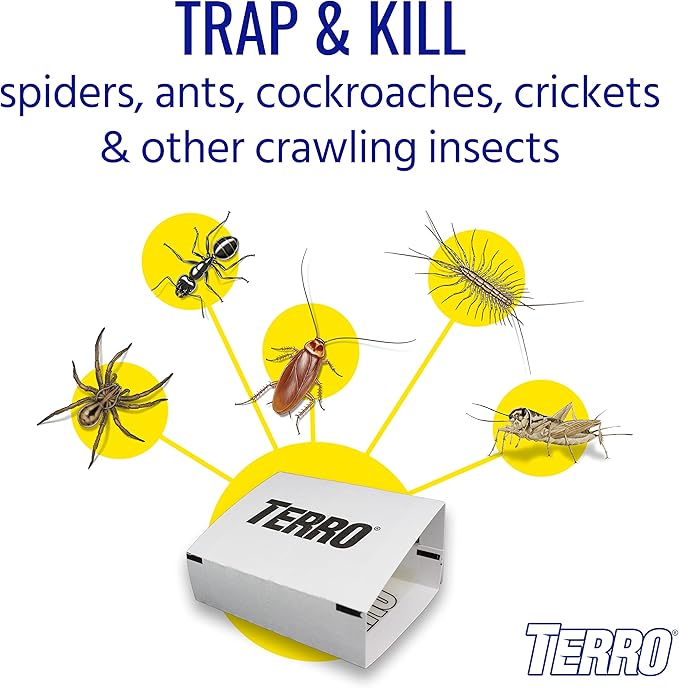 Terro T3206 Spider & Insect Traps Indoor, Insect Traps Indoor Sticky Pads, 4 Count (Pack of 1)