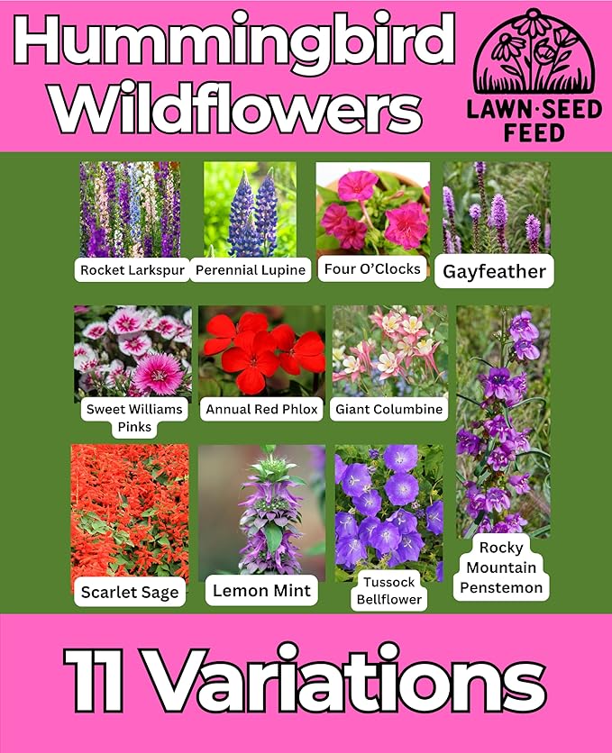 Hummingbird Wildflower Seed Mix (2oz) Bright, Nectar-Rich Blooms that Attract Hummingbirds & Pollinators