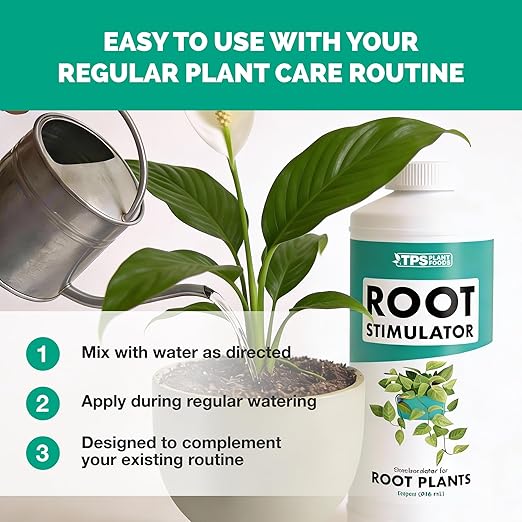 Root Stimulator for Houseplants – Liquid Root Supplement with Kelp & Probiotics for Stronger Roots & Better Nutrient Uptake, 32 oz