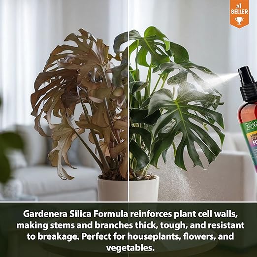 𝐏𝐑𝐎𝐅𝐄𝐒𝐒𝐈𝐎𝐍𝐀𝐋 Liquid Silica Plant Supplement - 32oz - Orange Tree Plants Liquid Silica Boost Fertilizer - Stronger Stems & Healthy Leaves for Indoor & Outdoor Orange (Makes 180 Gallons)