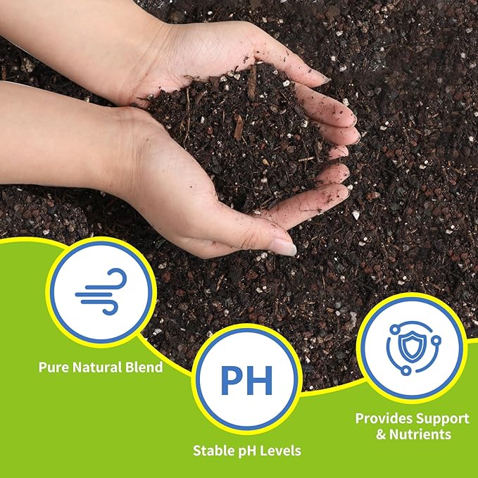 Succulent and Cactus Soil Potting Mix 1qt-Premium Breathable & Fast Draining for Healthy Plants