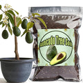 Organic Avocado Tree Potting Soil Mix 10qt, Enhance Growth and Transplant Success for Avocado Plants