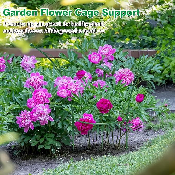 6 Pack Peony Cages and Supports Cages 13" D x 22.8" H Heavy Duty Metal Support Frame for Peonies & Roses Natural Bouquet Shape Garden Stakes for Outdoor Plants Flowers Ornamental (Green)