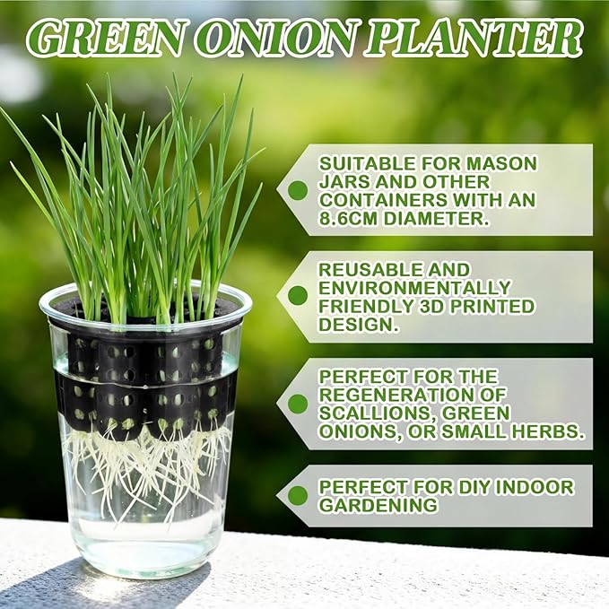 2 Pack Green Onion Planter Scallion Grower Seed Sprouting Kit Compatible with Regular Mouth Mason Jar for Windowsill Garden, Hydroponics, and Propagation Hydroponics Enthusiasts (Black)