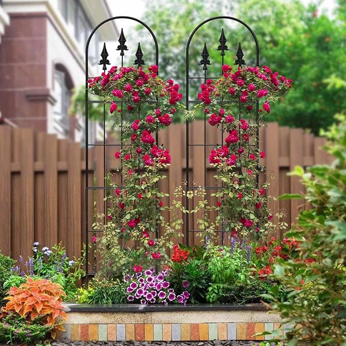 2 Pack 57.8" H x13 W Garden Trellis for Climbing Plants Outdoor, Rustproof Arched Metal Rose Trellis for Outdoor Indoor Roses Clematis Potted Climbing Plants Vines Flowers Decorative, Black