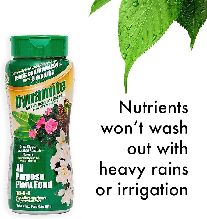 Dynamite 2 lb All Purpose 9 Month Plant Food