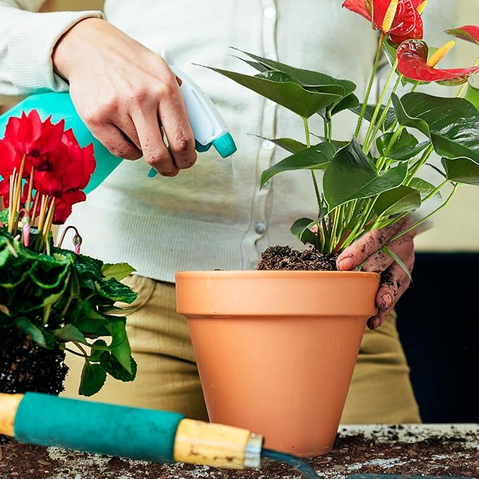 Doter All-Natural Potting Soil for Anthurium & Indoor Plants 4qt - Enhanced Drainage, No Additives | Premium Indoor Plant Soil Mix