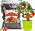 Doter Organic Vegetable Soil Mix 2qt, Indoor Plants Potting Mix for All Potted Vegetable Like Tomatoes Lettuce Bell Peppers, Grow Healthy houseplants Indoors
