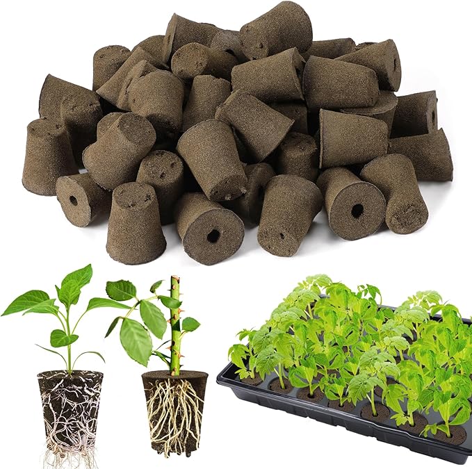 Bigmeta 50 Pcs Rooting Sponges, Starter Plugs for Seedlings or Cuttings, Rapid for Soil, Tray or Planting Pods Plant Rooter, Promotes Herbs Vegetable Flowers Growth