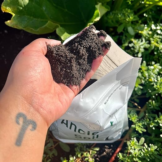 Elm Dirt Premium Ancient Soil & Worm Castings for Plants - Organic Fertilizer | 2lbs