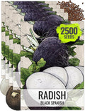 Seed Needs Radish Seeds for Planting Black Spanish Radishes - Non-GMO, Heirloom & Untreated - Grow a Home Grown Vegetable Garden - Cool Weather Crops (5 Packs)