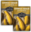 Survival Garden Seeds - Straightneck Summer Squash Seed for Planting - 2 Packets with Instructions to Plant and Grow Yellow Squash in Your Home Vegetable Garden - Non-GMO Heirloom Variety