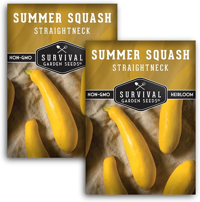 Survival Garden Seeds - Straightneck Summer Squash Seed for Planting - 2 Packets with Instructions to Plant and Grow Yellow Squash in Your Home Vegetable Garden - Non-GMO Heirloom Variety
