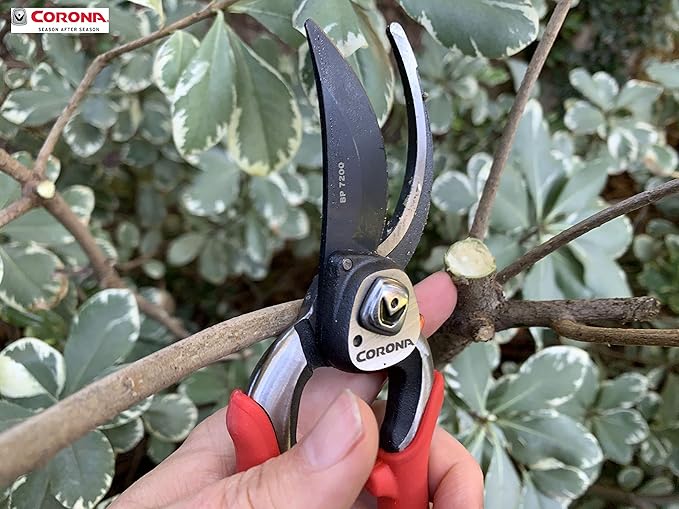 Corona BP 7200 Forged Pro Cut Bypass Hand Pruner, 1-Inch, Red (Pack of 6)
