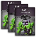 Survival Garden Seeds Culinary Basil Seed Mix -3 Seed Packs with Instructions to Plant & Grow Genovese, Lemon, Lime, Opal & Thai Basil in Your Home Vegetable Garden - Non-GMO Heirloom Varieties