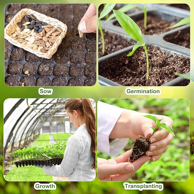 Eccliy 20 Pack 200 Cell Seedling Trays Seed Starter Kit Plant Starter Tray Durable Plastic Gardening Germination with Drain Holes Nursery Pots Mini Propagator for Growing Propagation