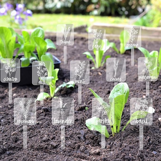 Whaline 24Pcs Acrylic Plant Label Signs 12 Styles Planted Herb Garden Markers Transparent Waterproof Plant Stake Tags with Herb Names for Nursery Indoor Outdoor Garden Decoration
