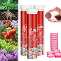 Sοil Bοost Tablets 22Pcs - Home Gardening Universal Slow-Release Tablet Οrganic Fertilizer - Slow Release Fertilizer - General Purpose Slow-Release Fertilizer for Plants, Bοne Meal Fertilizer (3 Pcs)