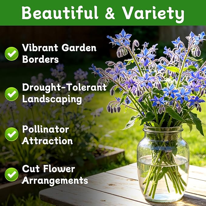 LUOJIBIE Borage Seeds, 2,000+ Blue Borage Seeds for Planting Outdoor & Indoor, Flower Seeds Bulk for Garden, Non-GMO & Heirloom, Easy to Grow