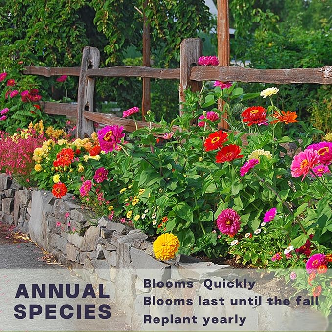 Zinnia Seeds Bulk 20,000+ | Outdoor Flower for Planting |Giant Zinnia Seeds for 2026 Bulk| Mixed Colors & Large Blooms for Gardens| High Germination, Beginner-Friendly