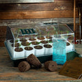 Park Seed Original Bio Dome with 18 Whopper Cells, Seed Starter Kit, 18 Growing pods