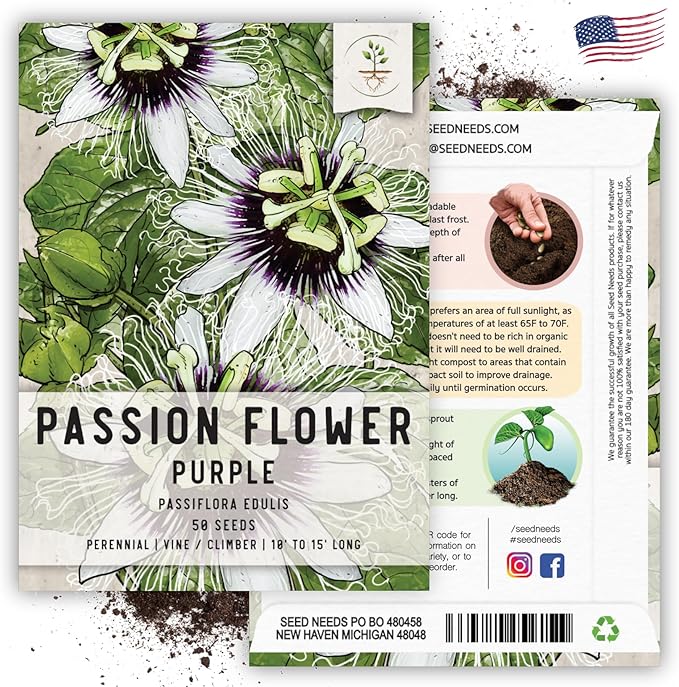 Seed Needs, Purple Passion Flower Seeds - 30 Heirloom Seeds for Planting Passiflora edulis - Annual Heirloom & Open Pollinated Vine/Climber Produces Exotic Blooms (5 Packs)