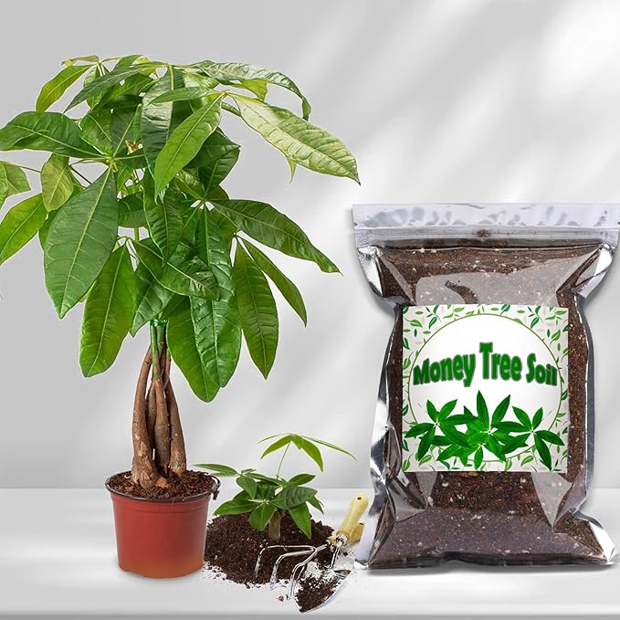 Doter Organic Money Tree Soil Mix 10qt, Indoor Plants Potting Mix for All Potted Money Tree, Grow Healthy houseplants Indoors