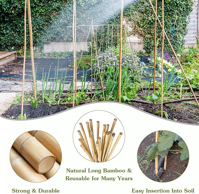 Plant Stakes 4FT, Natural Bamboo Stakes, HAINANSTRY 25Pcs Sturdy Bamboos Garden Stake, Bamboo Sticks for Plants, Beans, Indoor and Outdoor Climbing Plants, Tomato Vegetable Stakes for Garden