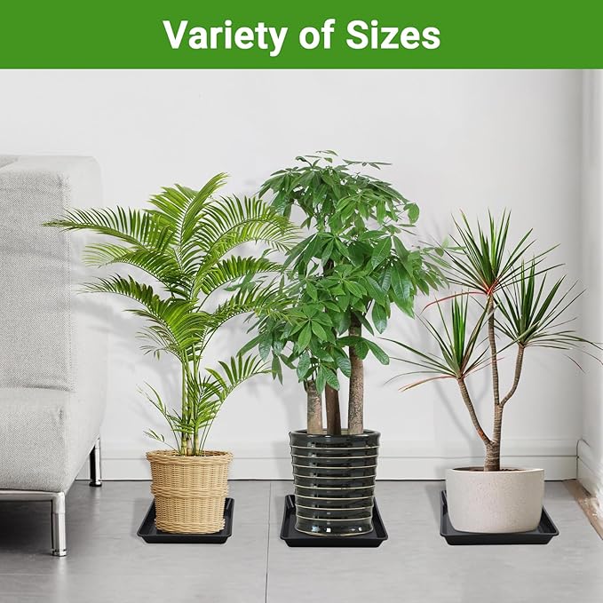 GREANER 10/12/14 Inches Square Plant Saucer, Black Plant Drainage Tray, Seed Starter Growing Trays for Indoors and Outdoors (6 PCS)