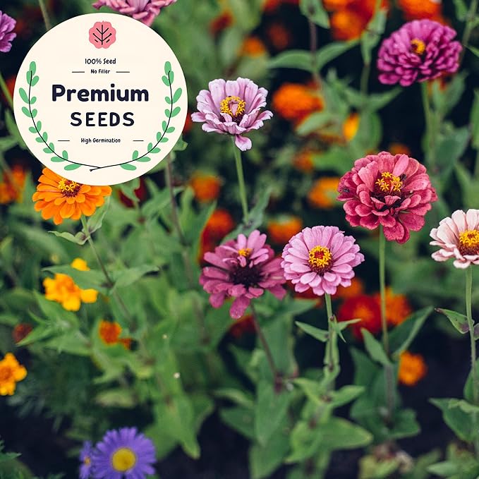 4,500+ Seeds - Zinnia Cut Flower Mix - 7 Varieties - Annual Heirloom, Deer Resistant, Open Pollinated - Pollinator Friendly, Planting Outdoor Spring - 1 oz