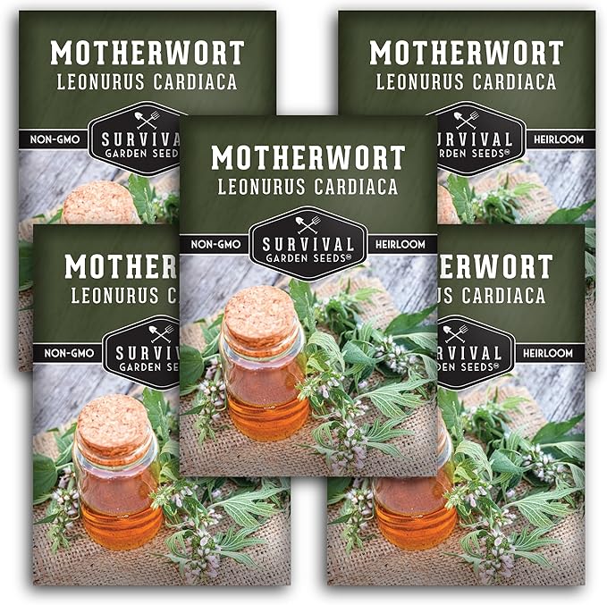 Motherwort Seeds for Planting - Plant & Grow Lion's Tail Medicinal Herbs in Your Home Herb Garden - Non-GMO Heirloom Variety - Survival Garden Seeds