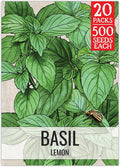 Seed Needs Lemon Basil Seeds for Planting - Non-GMO Heirloom & Untreated Culinary Herb Seed to Plant an Indoor or Outdoor Home Grown Kitchen Garden (20 Packs)