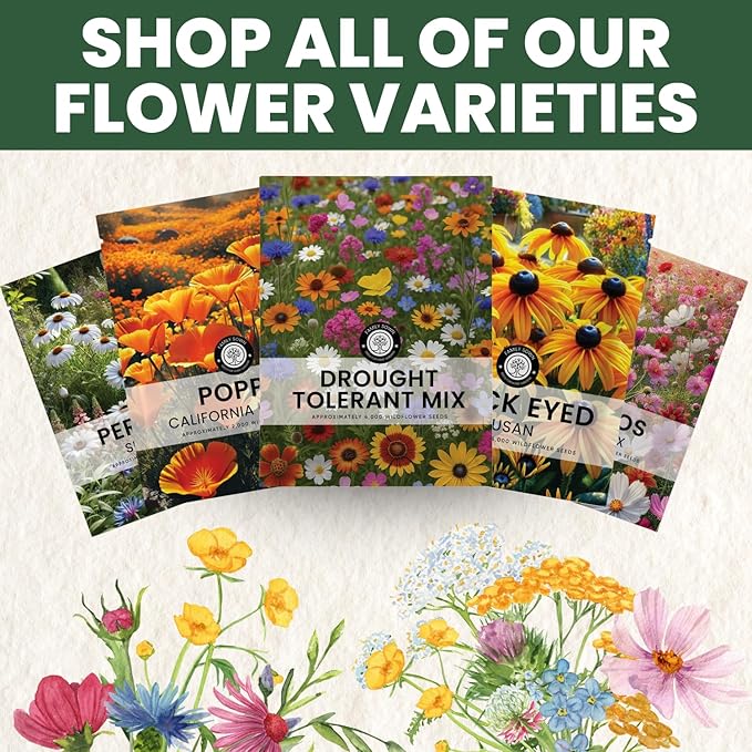 Drought Tolerant Mix – 4,000 Seeds for Planting – 2026 Season – 5 Gram Pouch