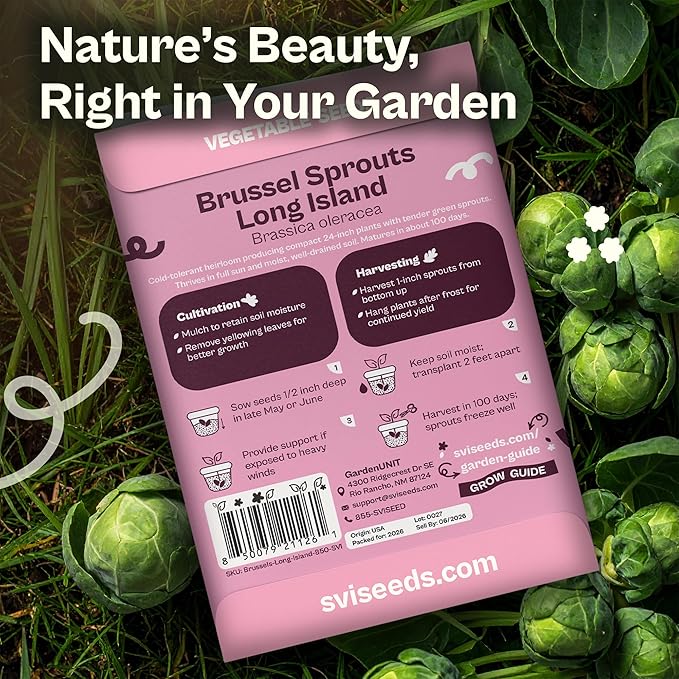 SVI 850 Long Island Brussels Sprouts Seeds (Brassica Oleracea) – Brussel Sprouts Seed Packets, Heirloom Brussel Sprout – Cold Hardy Vegetable Seeds Home Garden, Outdoor Beds, Containers