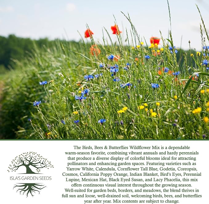 Birds, Bees & Butterflies Wildflower Mix Seeds – 500+ Non GMO Heirloom Seeds by Isla’s Garden Seeds, Colorful Pollinator Blooms for Garden Beds, Borders & Meadows, Perfect Home Gardening Gift Idea
