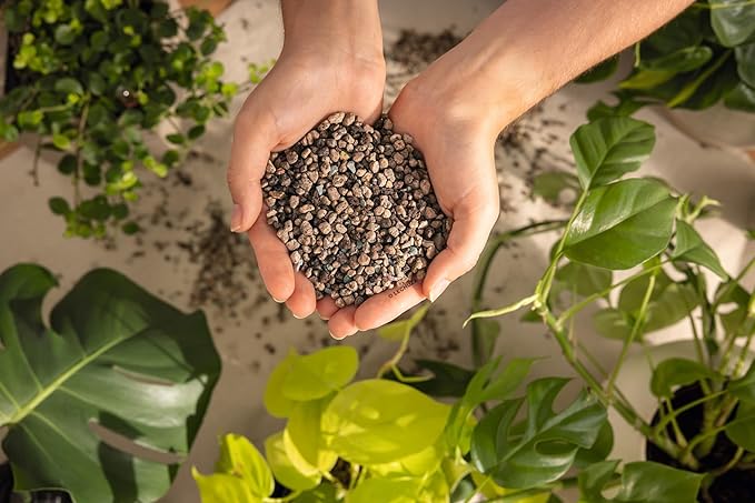 LECHUZA PON Peat-Free Houseplant Potting Mix for Indoor Plants, Cacti and Succulents Soil Potting Compost 3L