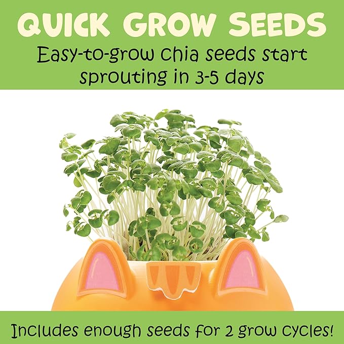 Creativity for Kids Plant-A-Pet: Kitty - Arts and Crafts for Kids, Mini Gifts for Girls and Spring Crafts for Kids, Chia Seed Plant Pet (Ages 6+)