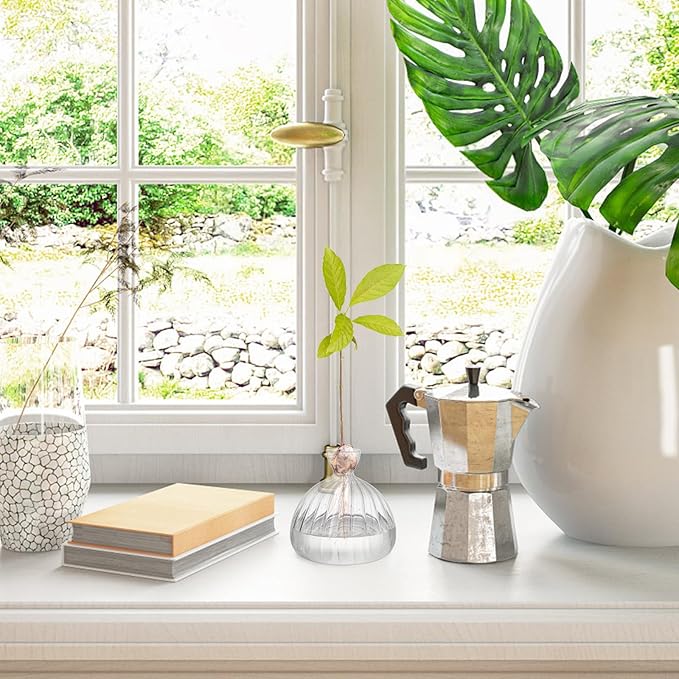 Avocado Seed Sprout Starter Vase Planter Pot, Avocado Tree Growing Vase Glass Container, Clear Striped Glass Propagation Jars for Hydroponics Plants Home Office Decoration