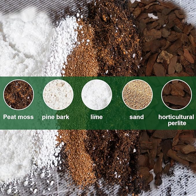 Doter All-Natural Potting Soil for Anthurium & Indoor Plants 10qt - Enhanced Drainage, No Additives | Premium Indoor Plant Soil Mix
